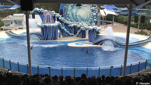 The Complete  SeaWorld -Blue Horizons- Dolphin Show